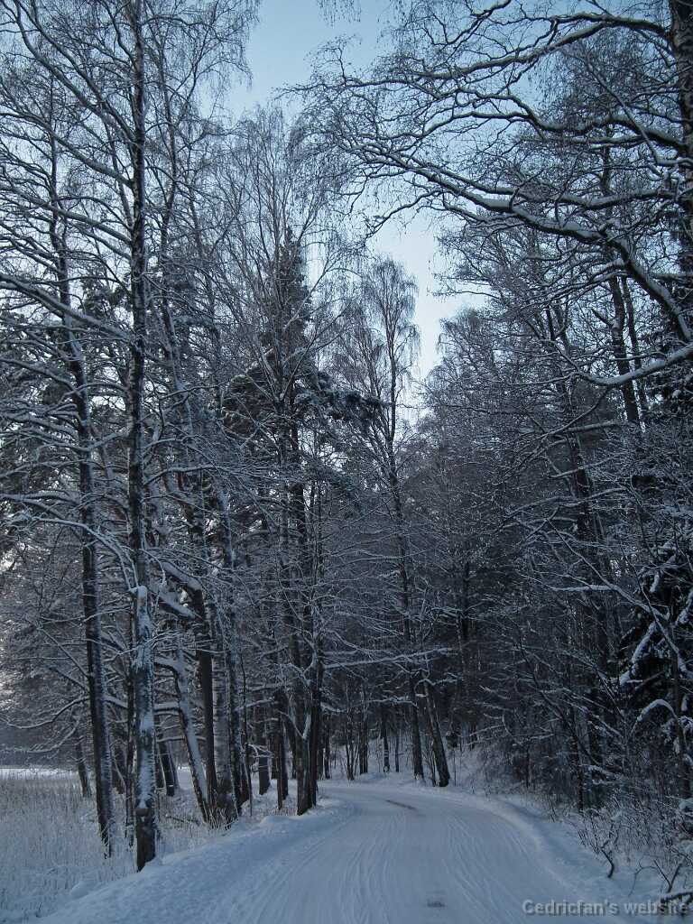 DSCF8753