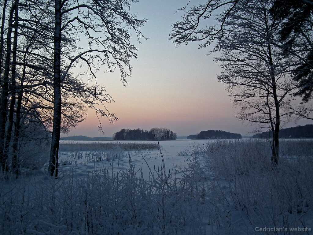 DSCF8754