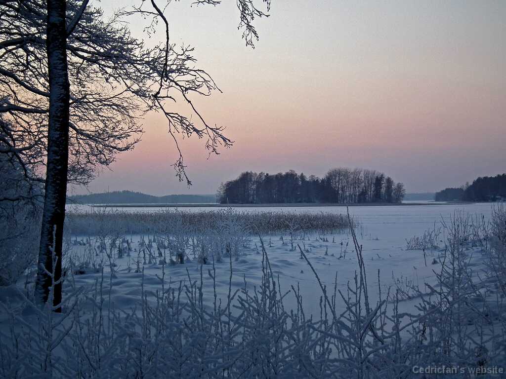DSCF8756