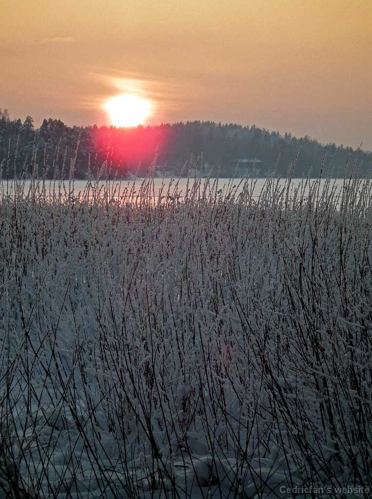 DSCF8757