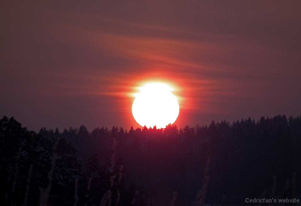 DSCF8758