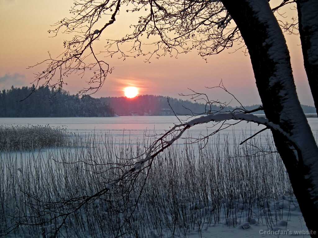 DSCF8759