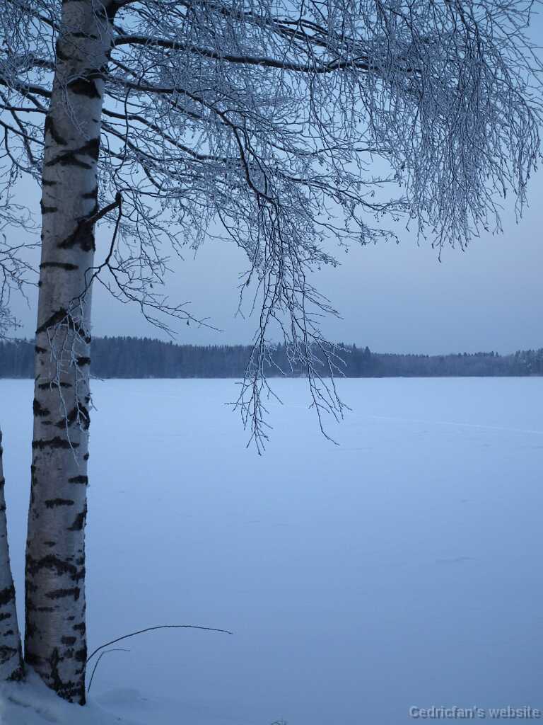DSCF8769