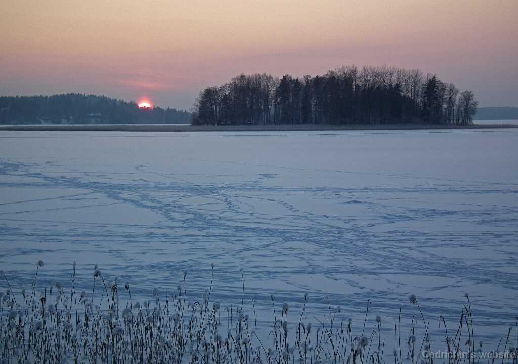 DSCF8775