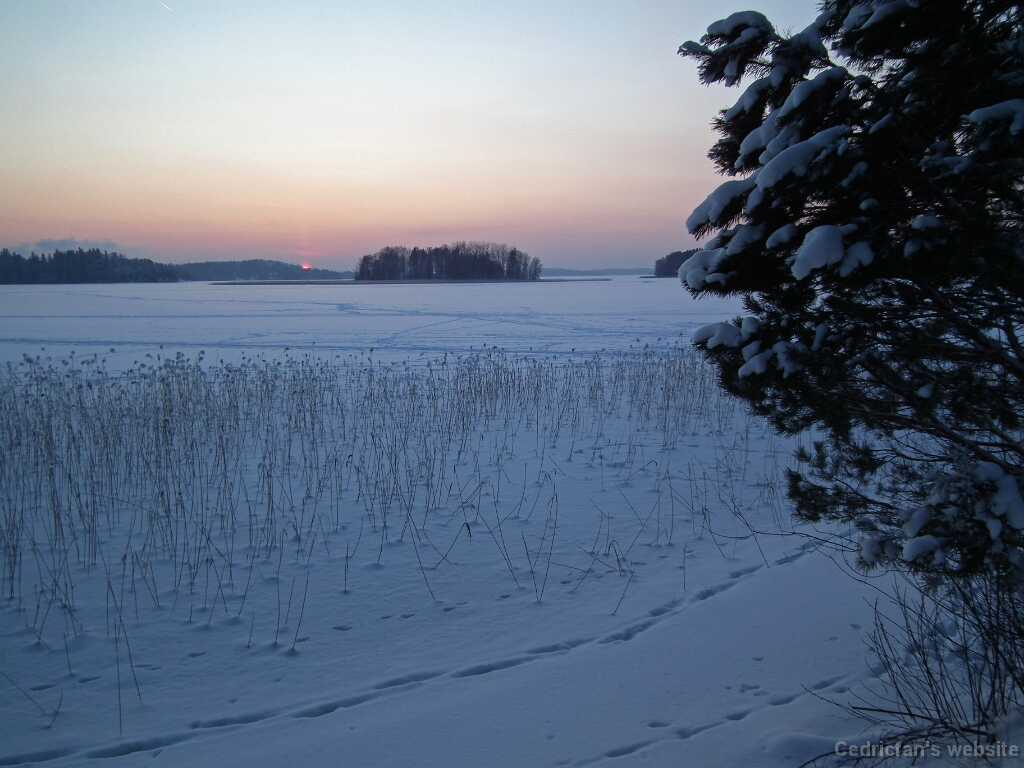 DSCF8777