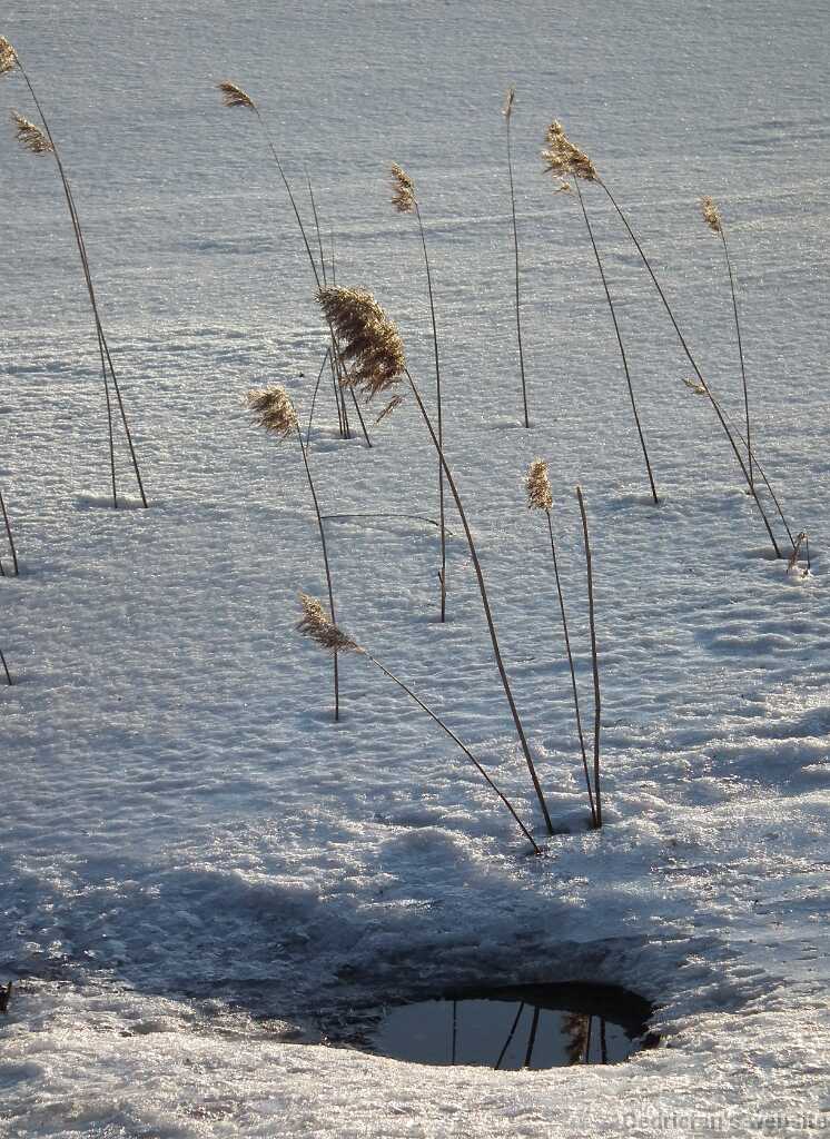 DSCF8810