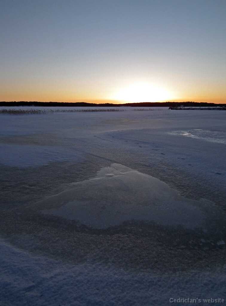 DSCF8823