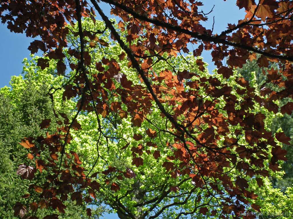 DSCF9092
