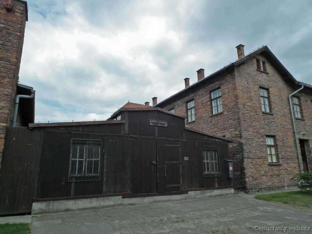 DSCF9357