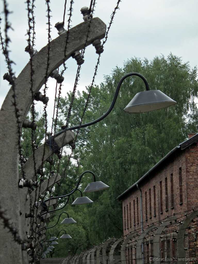 DSCF9360