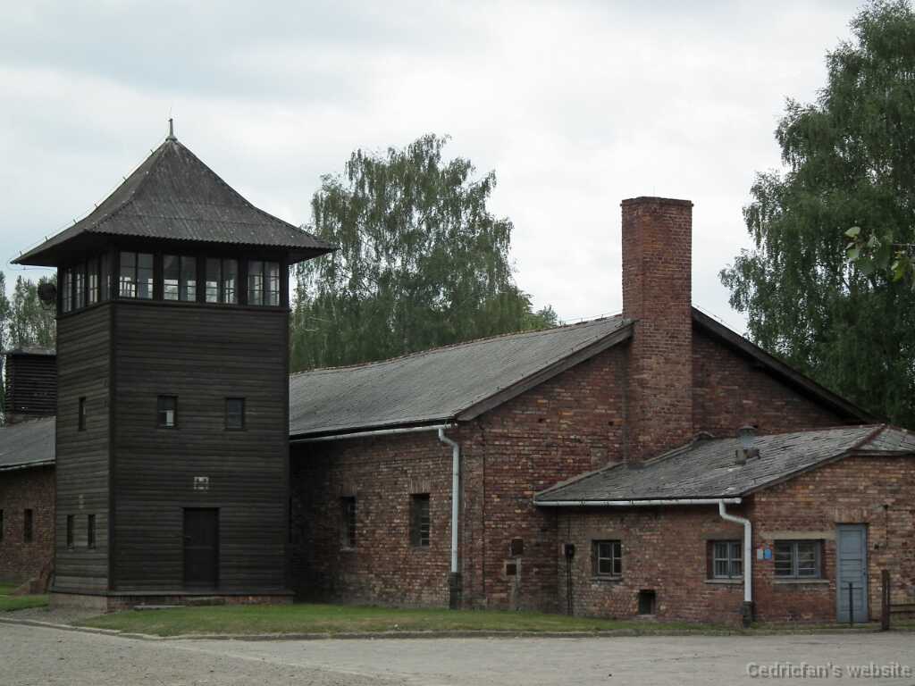 DSCF9370