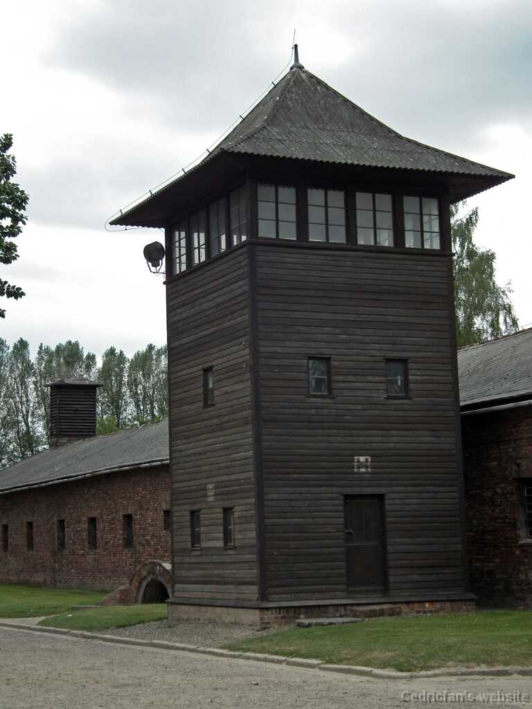 DSCF9371