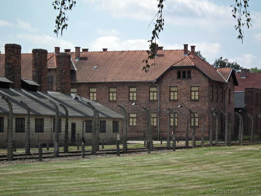 DSCF9312