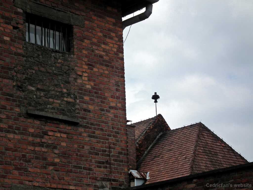 DSCF9344