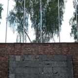 DSCF9345