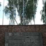 DSCF9346