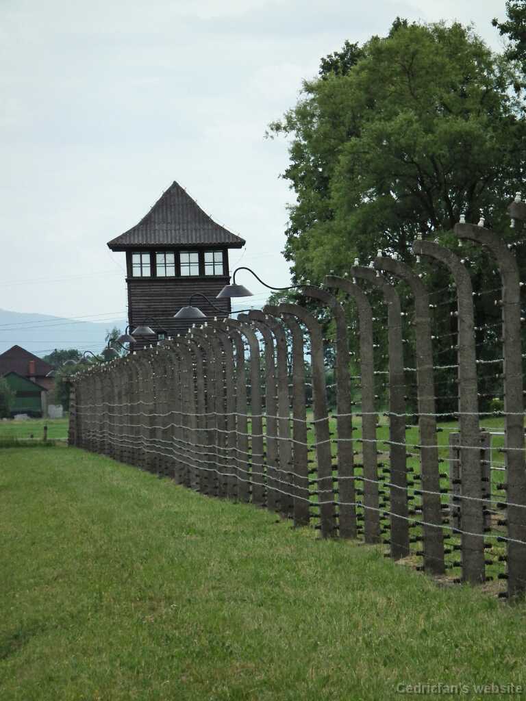 DSCF9414