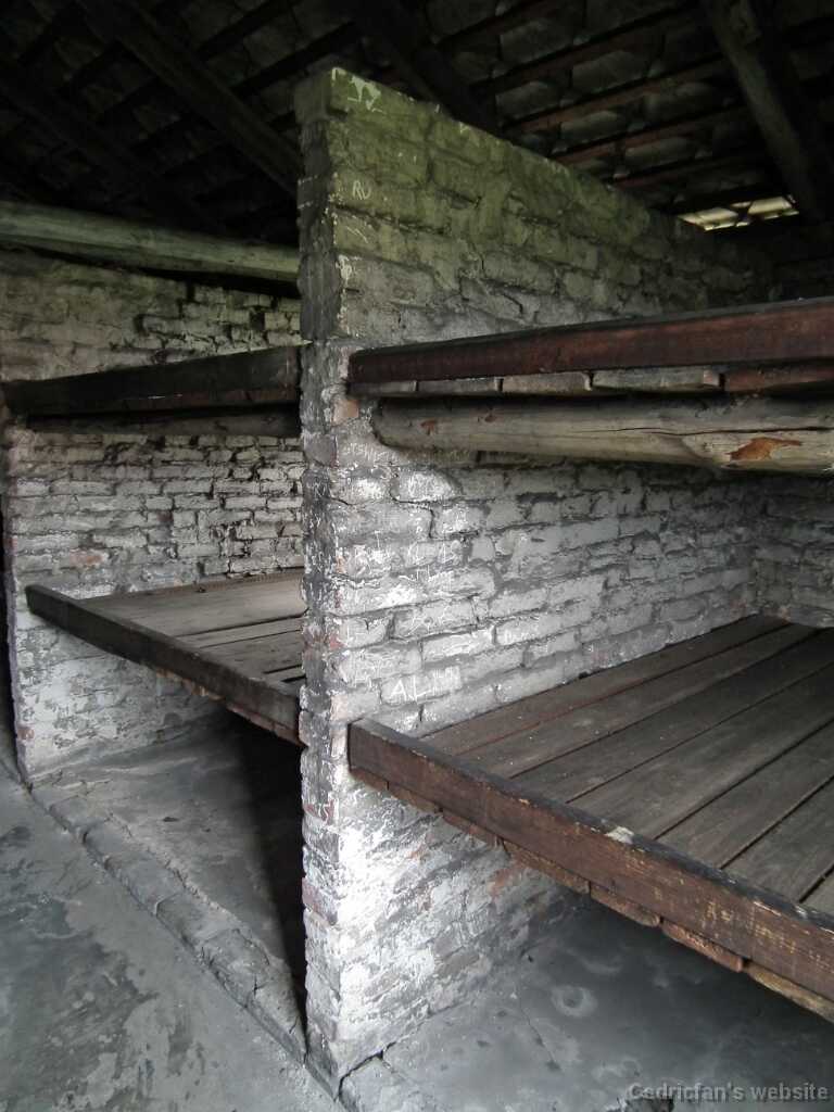 DSCF9421