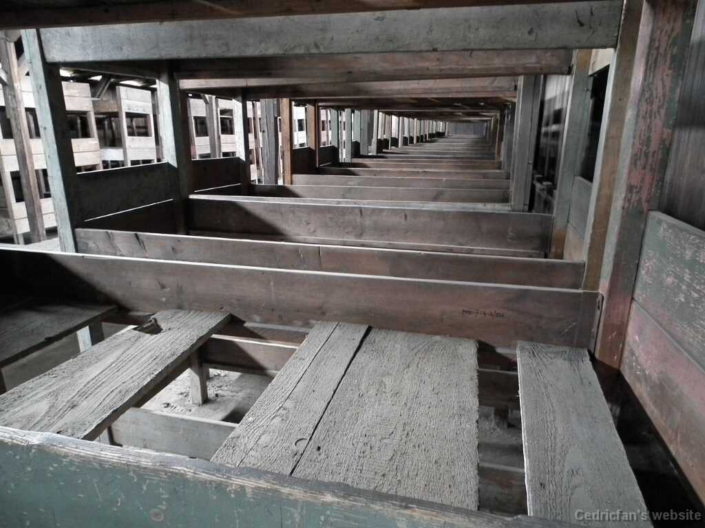 DSCF9431