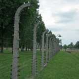 DSCF9413