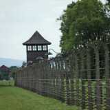 DSCF9414