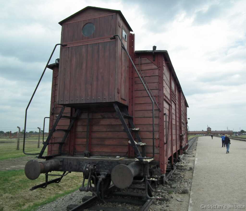 DSCF9398
