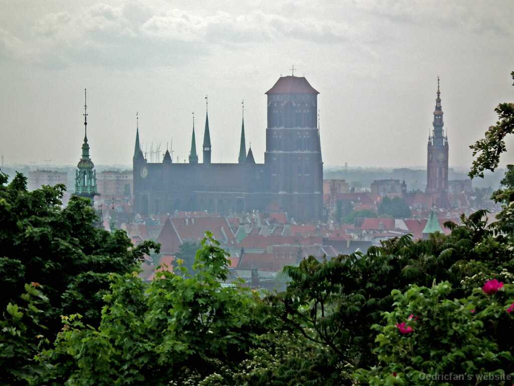 DSCF9259