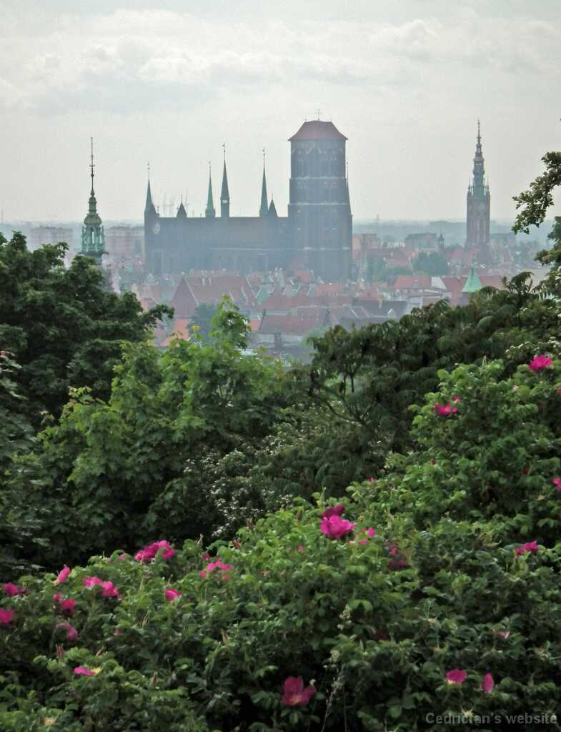 DSCF9260