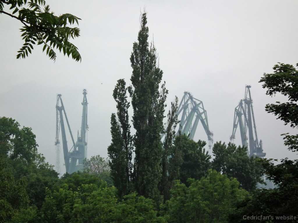 DSCF9268