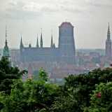 DSCF9259