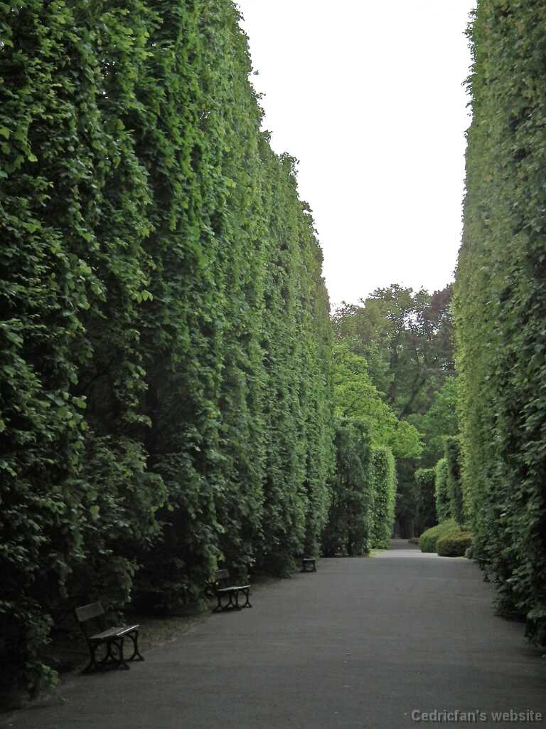 DSCF9288