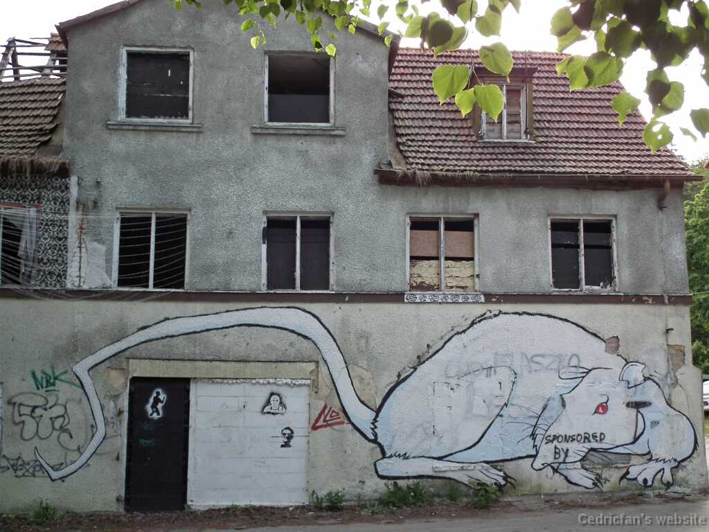 DSCF9305
