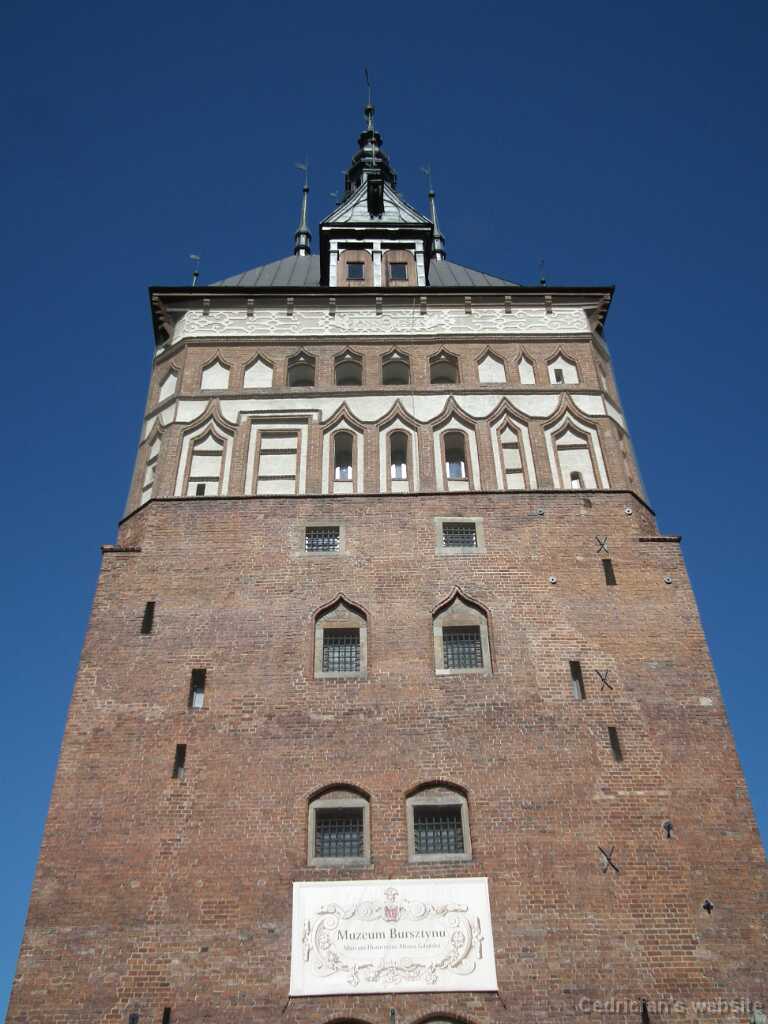 DSCF9129