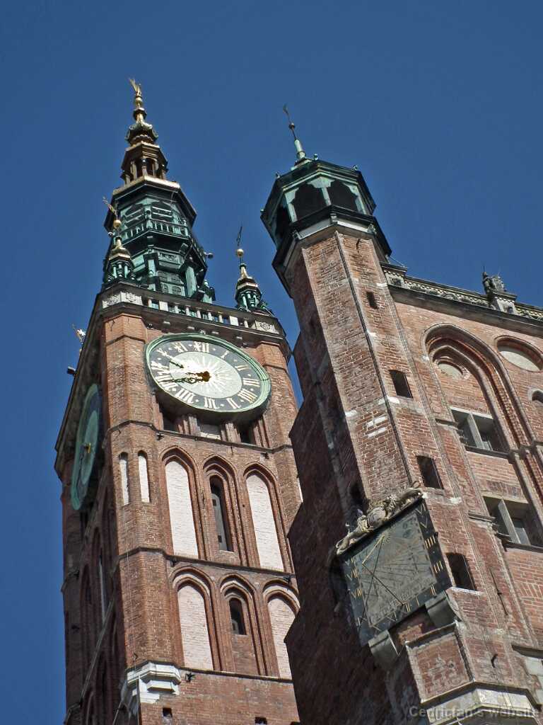DSCF9138