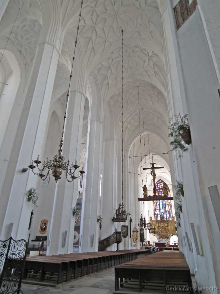 DSCF9152