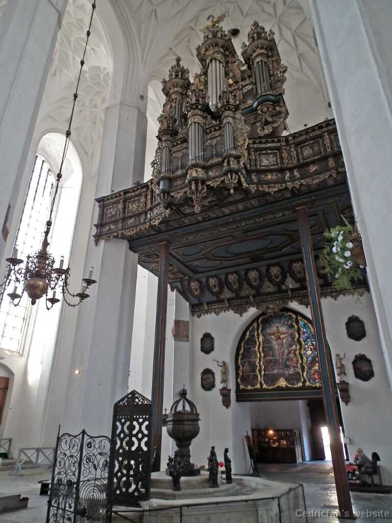 DSCF9161