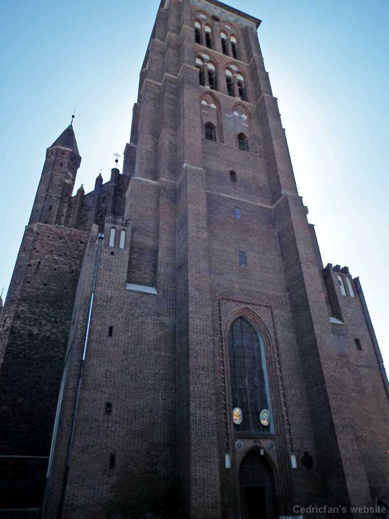 DSCF9164