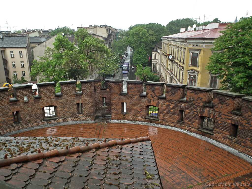 DSCF9528