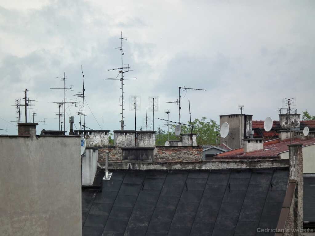 DSCF9530