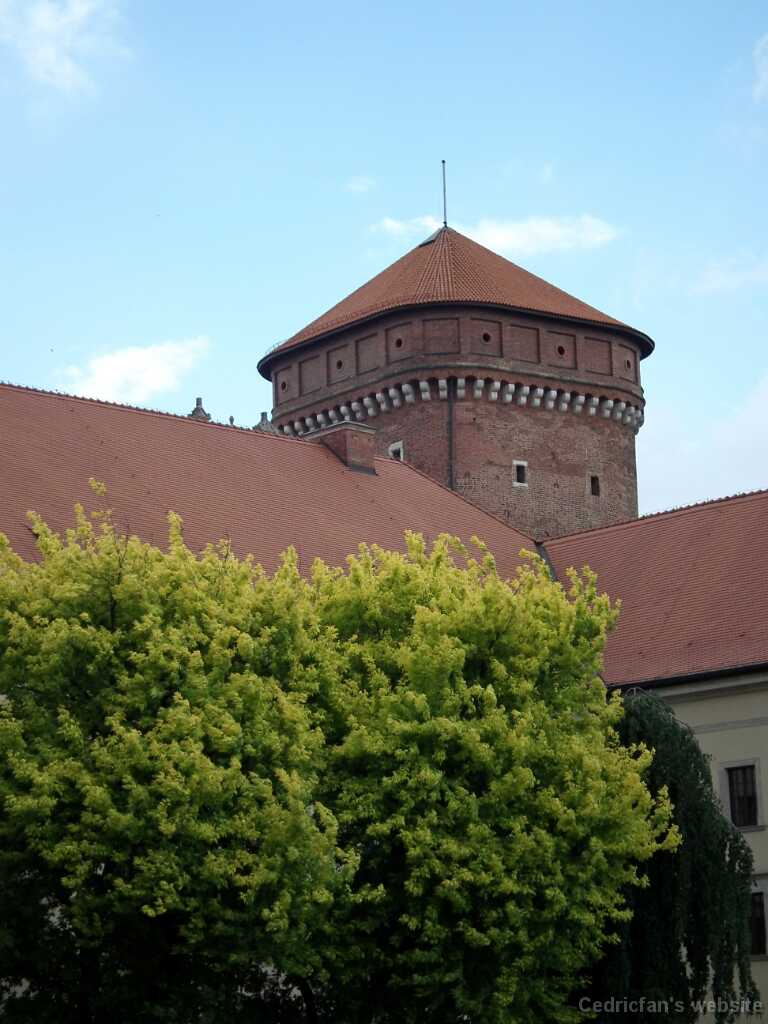 DSCF9537