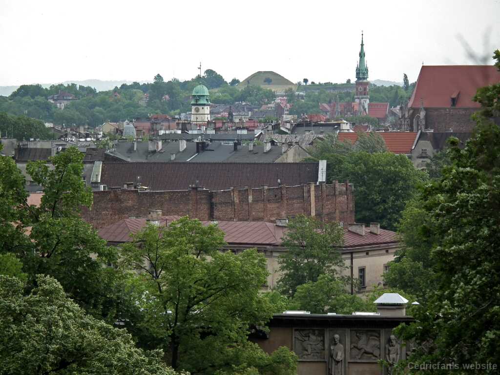 DSCF9539