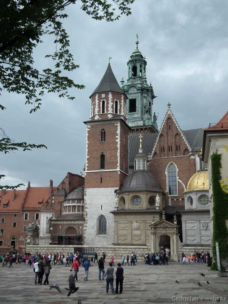 DSCF9541