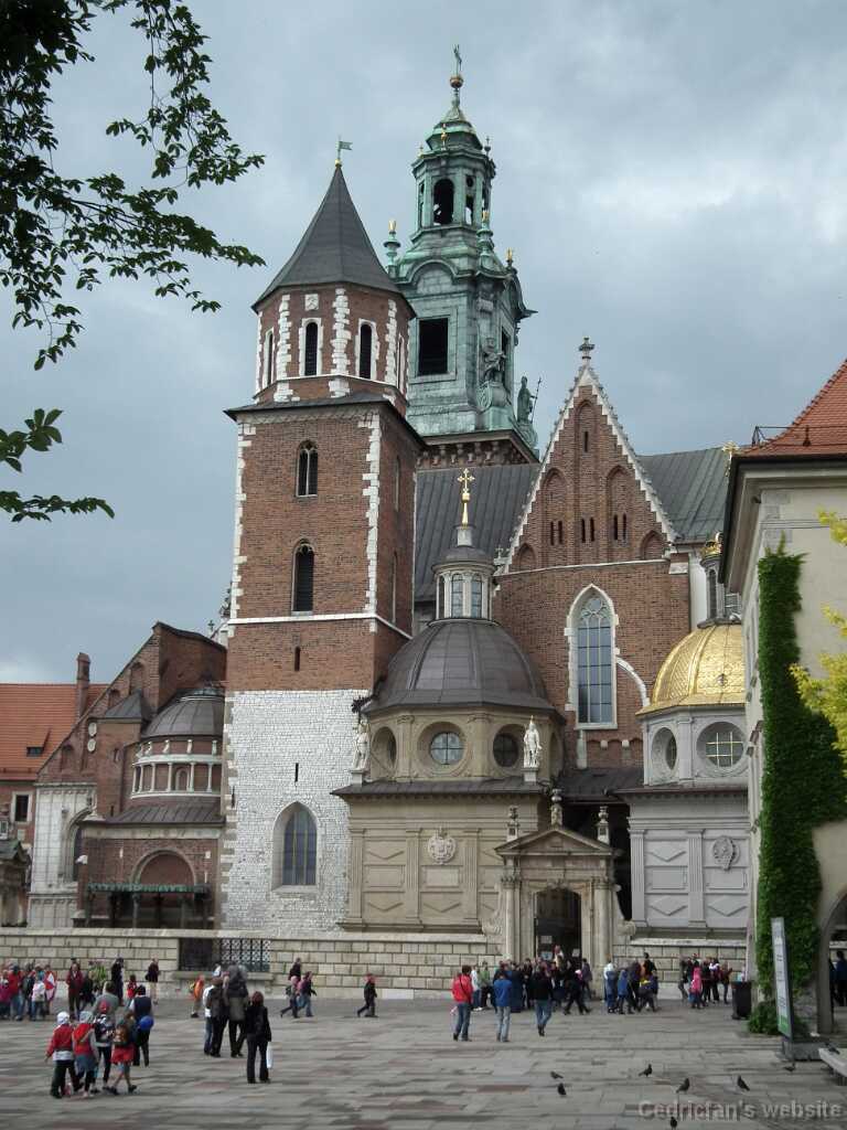 DSCF9542