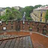DSCF9528