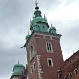 DSCF9531