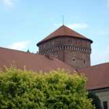 DSCF9537