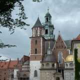 DSCF9541