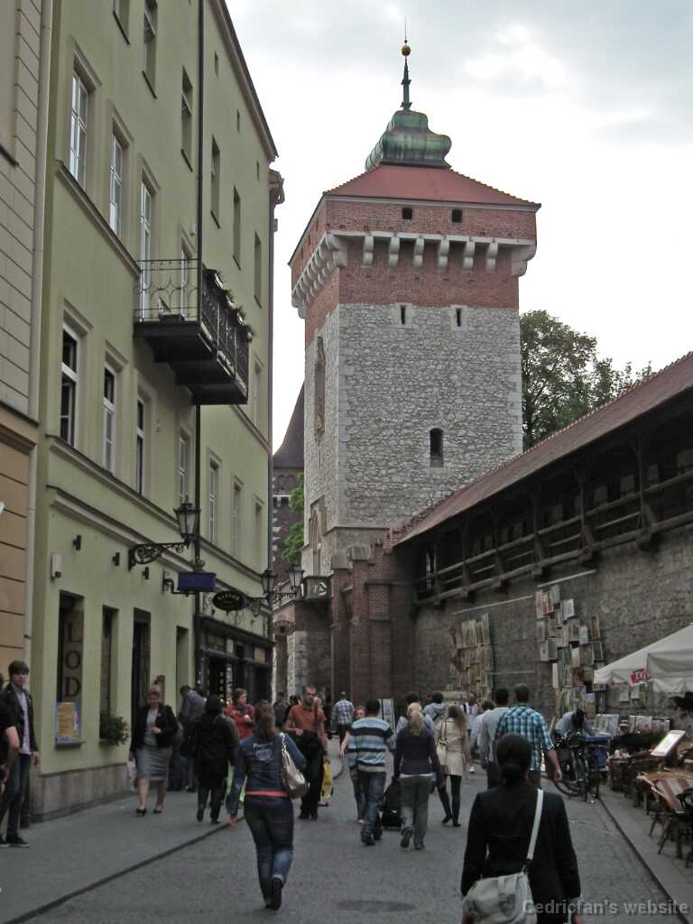 DSCF9439