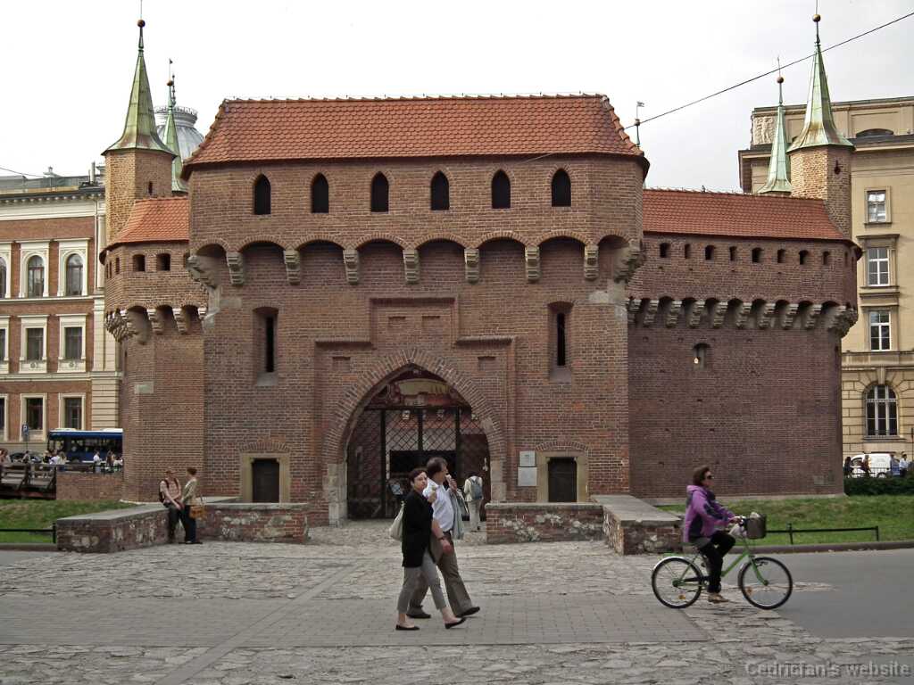 DSCF9440