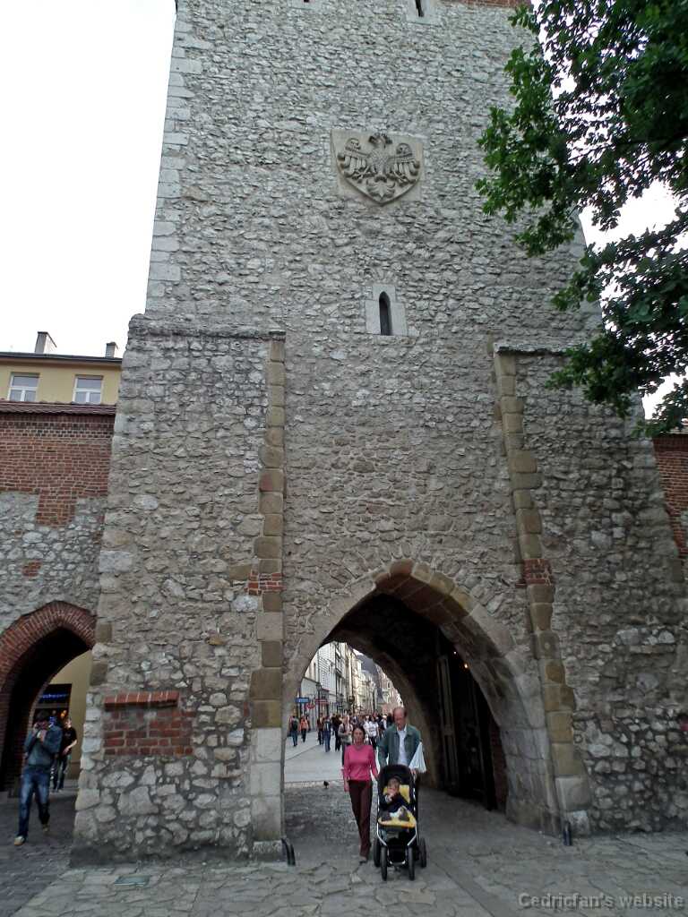 DSCF9441